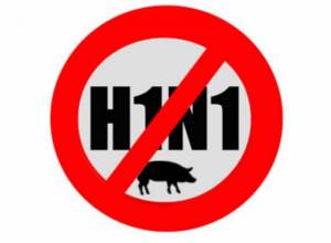 13 смертей от свиного гриппа: В Грузии перенесут уроки: Aliq.ge