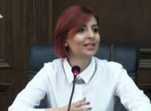 Չի կարելի կառավարության մեծամասնության բարի կամքի վրա հույս դնել .Գորգիսյան