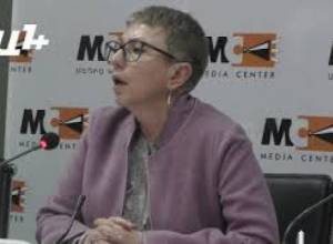 Մեղադրանքները ամբողջովին կեղծ են. Լարիսա Մինասյան