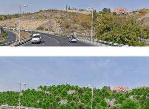 «ԱնԾառայինը» կդառնա անտառային