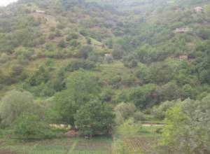 Об отдыхе и не думают