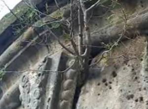 Санаин - жертва дождей и безразличия