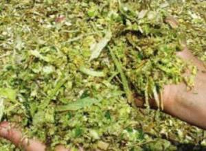 Сгорел корм для скота