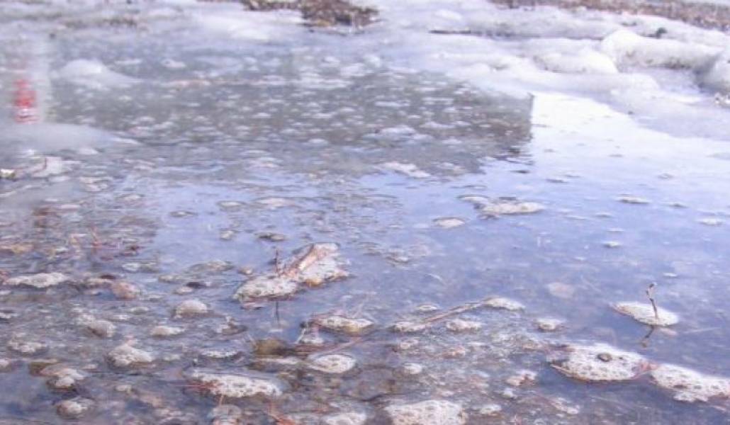 55e3e5b2f89a65fbbd2771c2f092287c