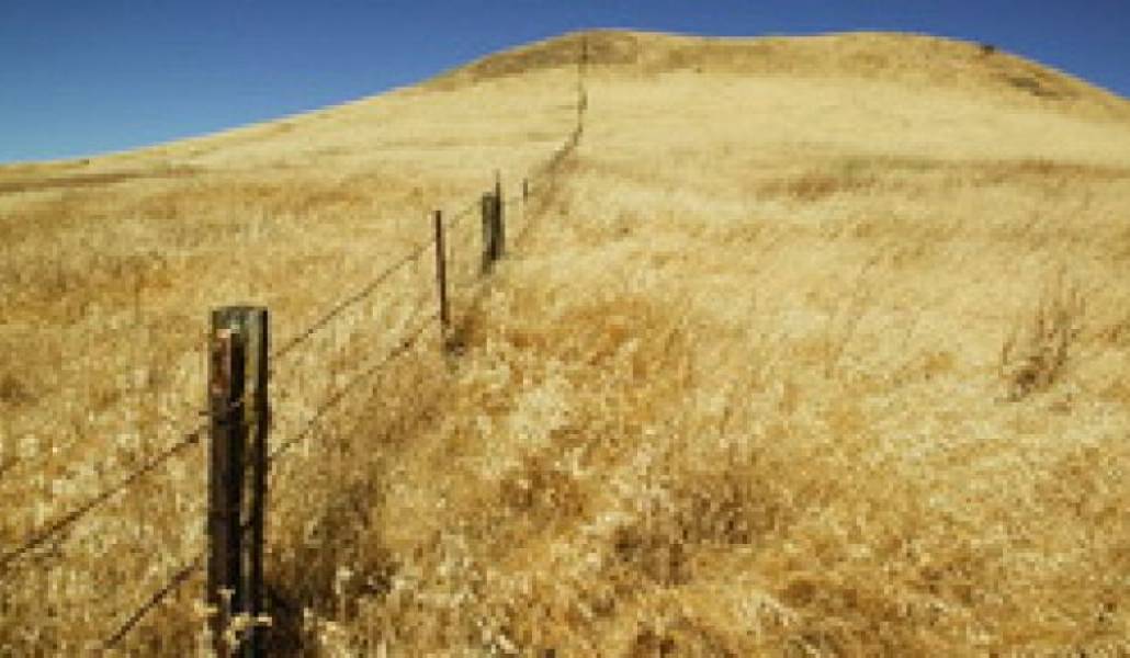 a5b0273dc4f3cf9a423e2af8fc729591