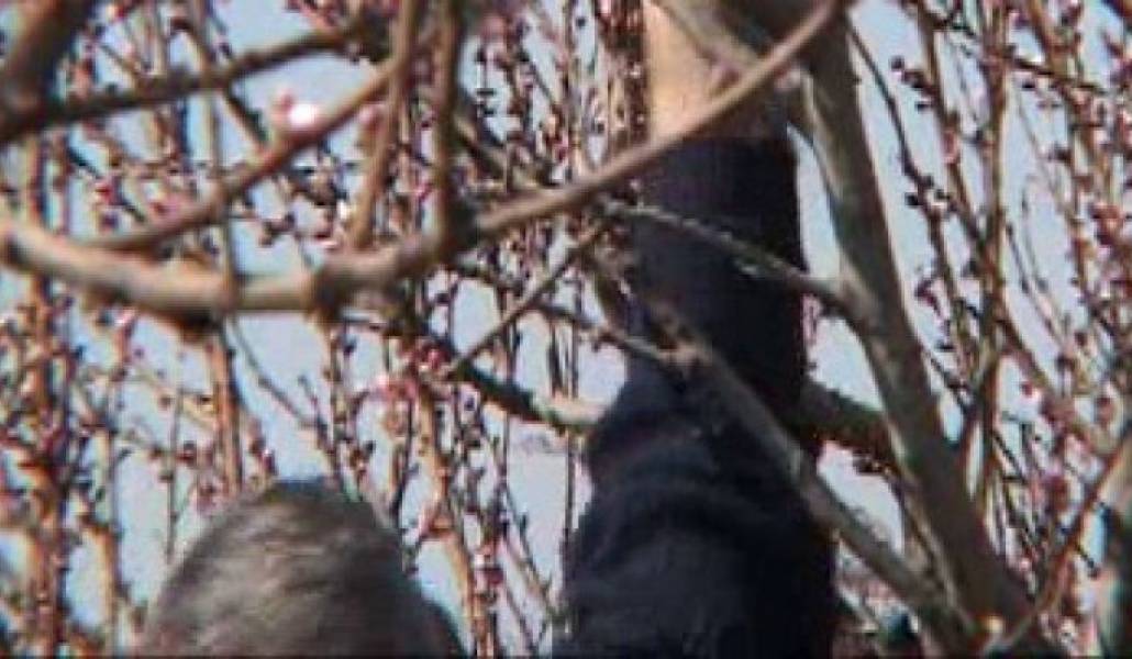 3aba18f4b75c0834079919d3f92b5702