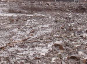 Улица перекрыта