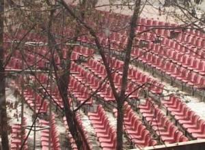 23 388 подписей