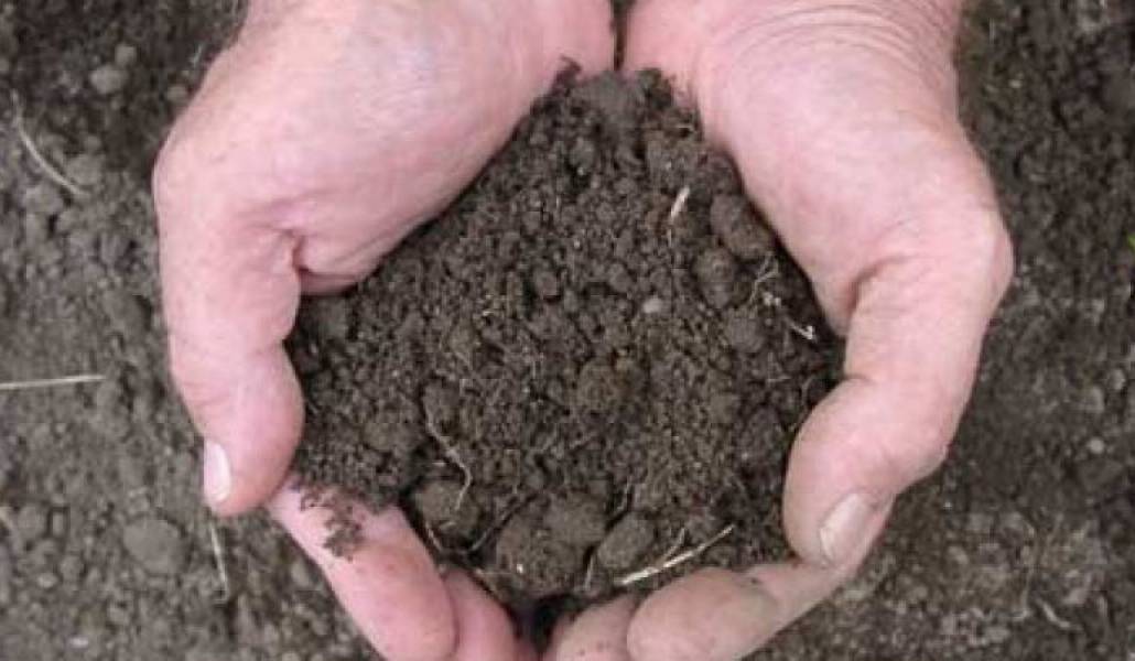 5942c77118abb822dd394e1e3ef8ccbd