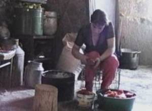 Беженцы приватизируют