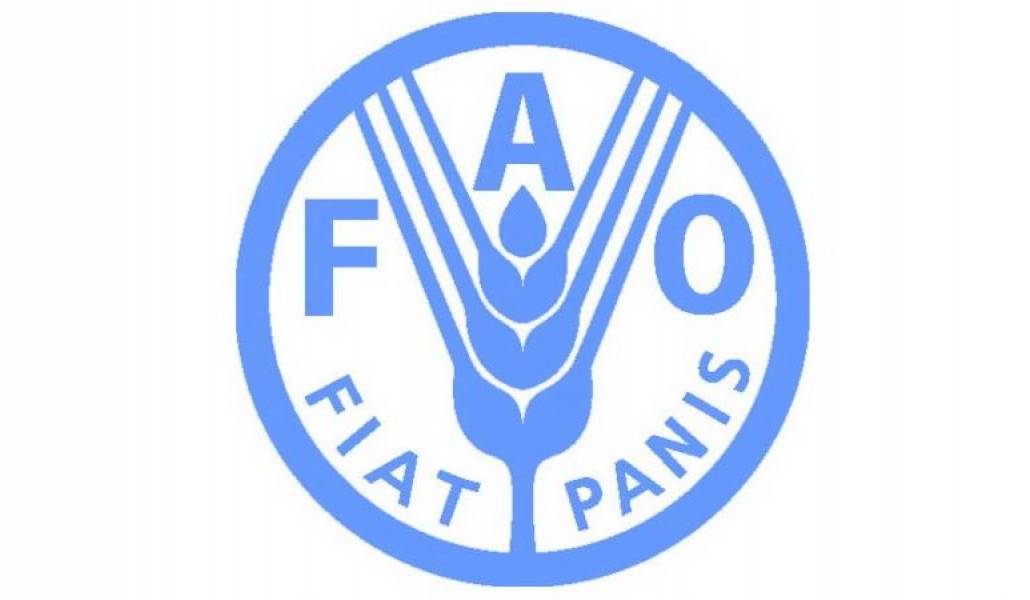 44dd0c93dd0df0a533cfe6d88c6fe53a