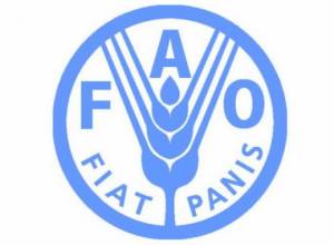 1 миллиард голодающих