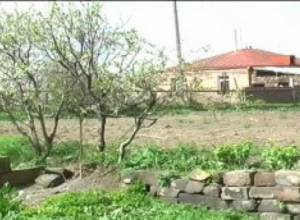 Кто поможет крестьянину?