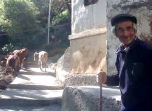 В Лернадзоре не будет первого класса