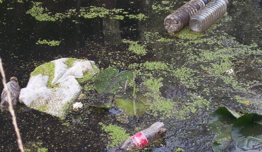 2936f7c0698488132275987d35978c65