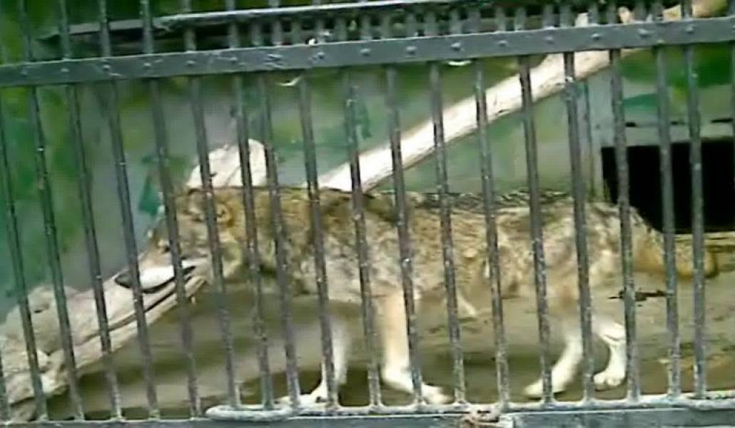 389c6206bcbacc350a4c3f48c112cd49