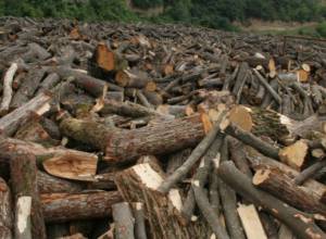 «Терпение тегутцев переполнилось»