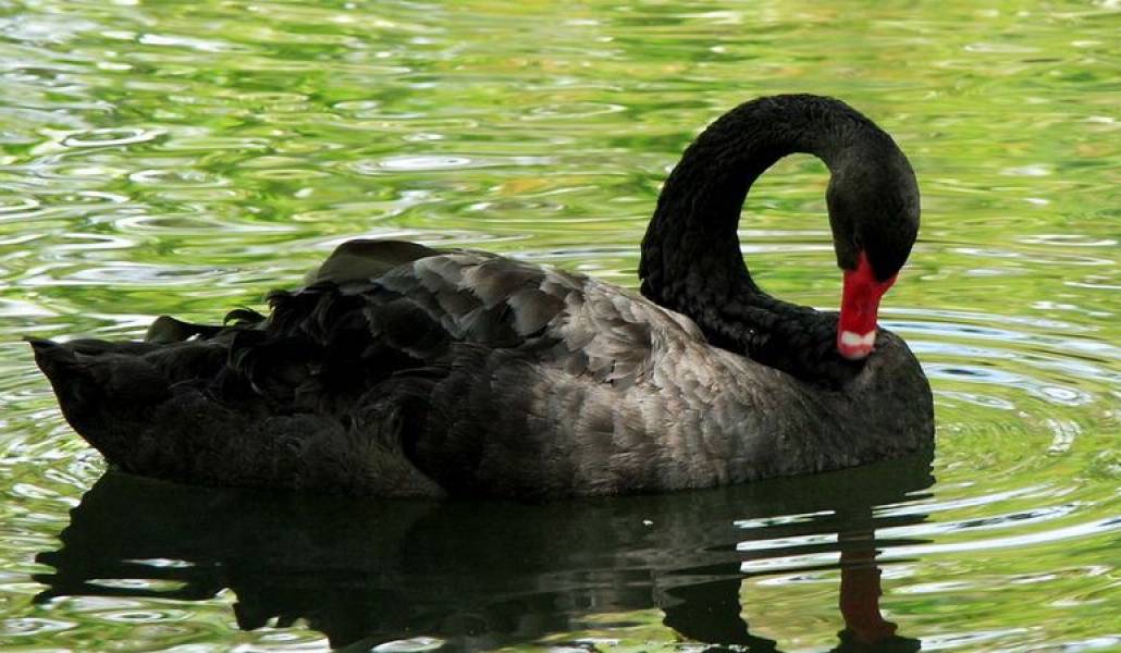 b847aaf1652d7f8269fe2c2ff54aea29