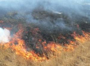 Сгорела трава