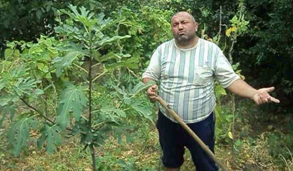 994b33b9a06558accd08aa1da81e065e