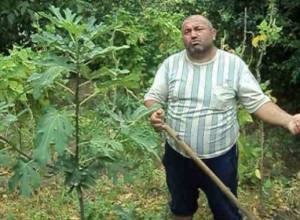 В Чочкане нет воды