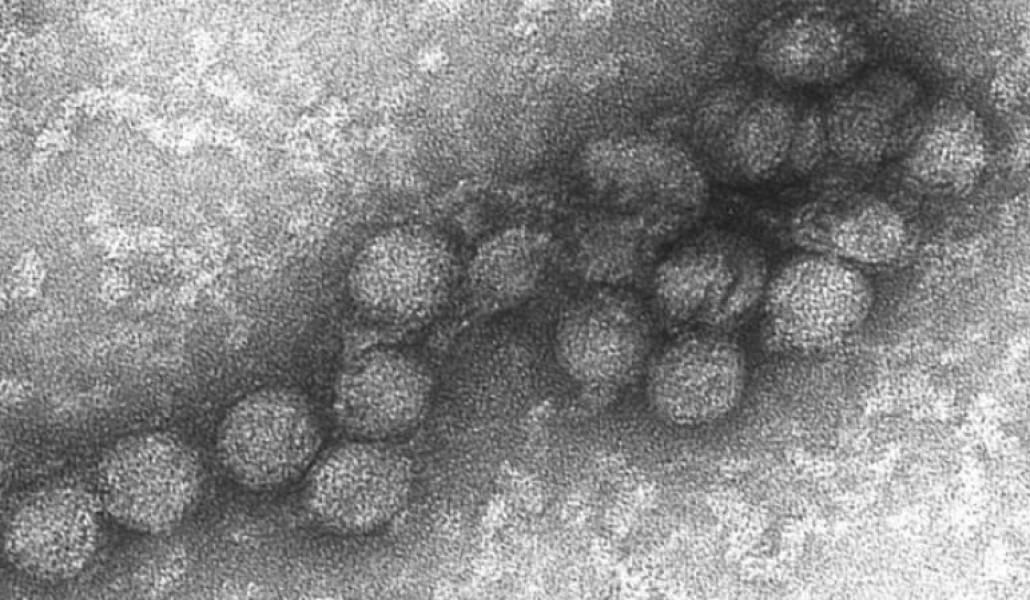 8f3872cdcf76591fa59e208049d14220