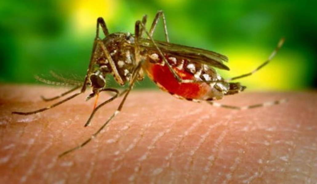 4dd8ba5329bf7a4013b73e5d4146e19b