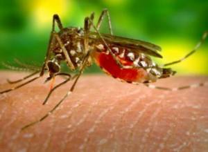 Усилен контроль в аэропорту