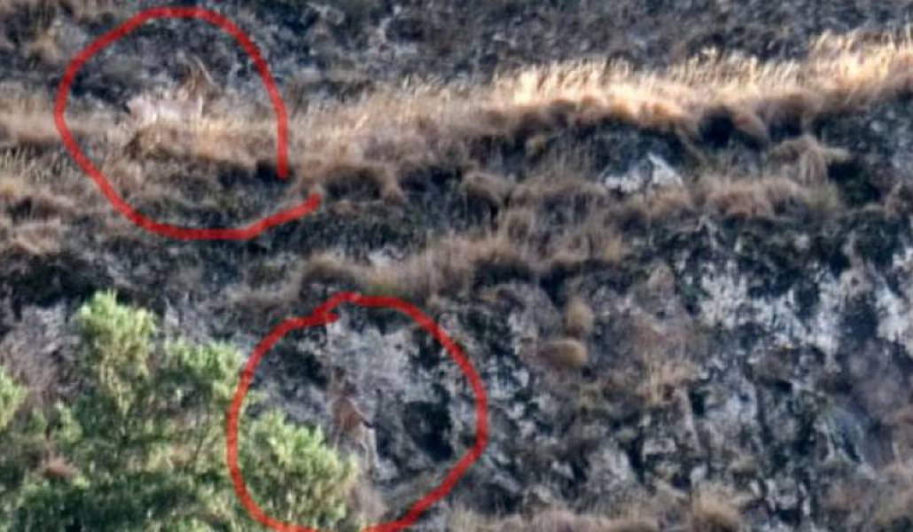 862bb4ccf22f6b1f59da299f459045ee