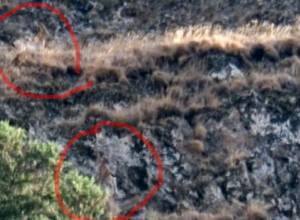 «Просто варварство»