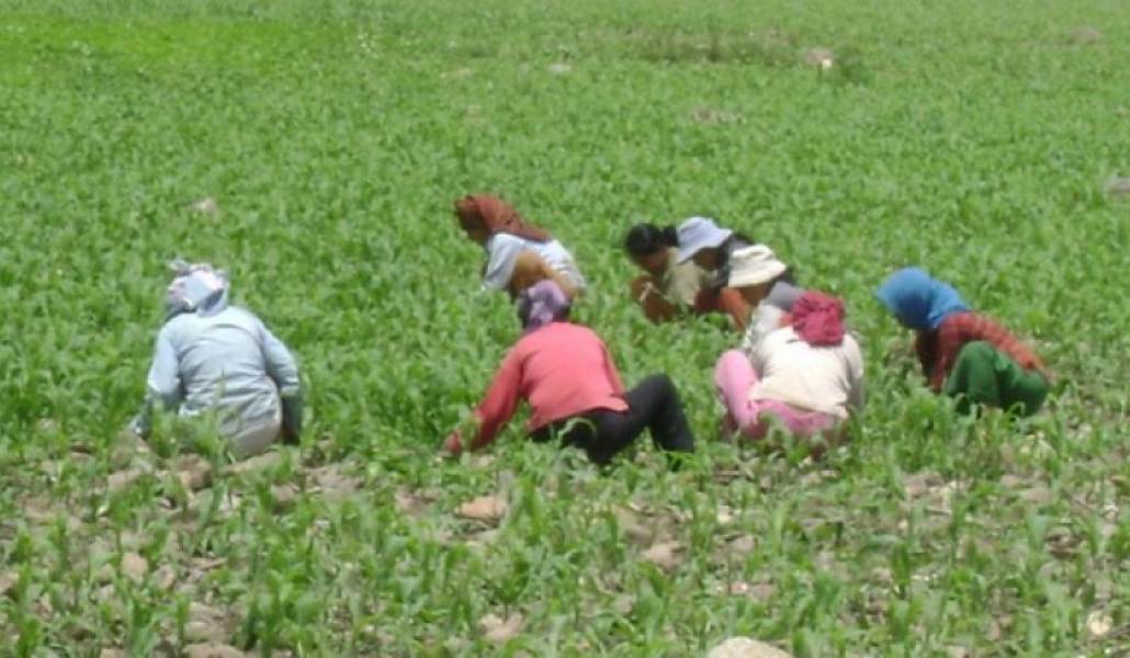 755f9b2f3e1e6eb5f7fe32931e88abc5