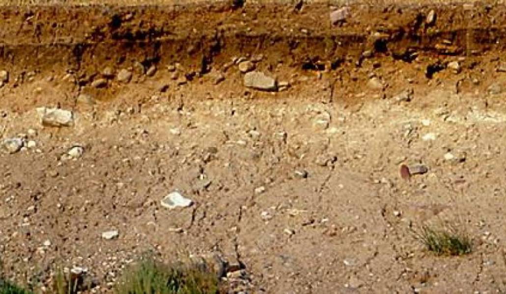 073bef190a5c0b590535253e8fab2c6d