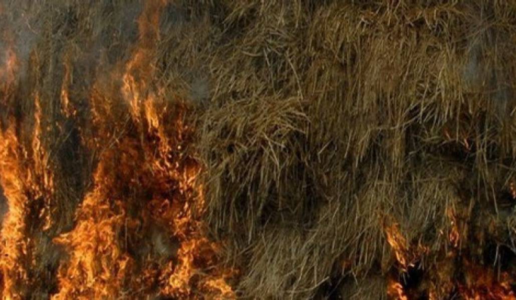 ae1ea97932b4551916e2364de7d07cf5