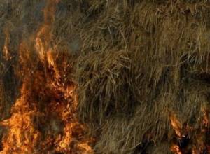 Умышленный поджог?