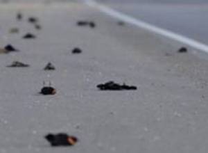 Не хотят оглашать?