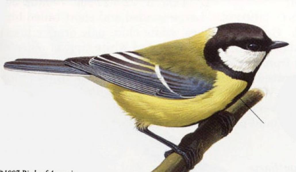 183aaa80f0d264333d1df37bce77b0c7