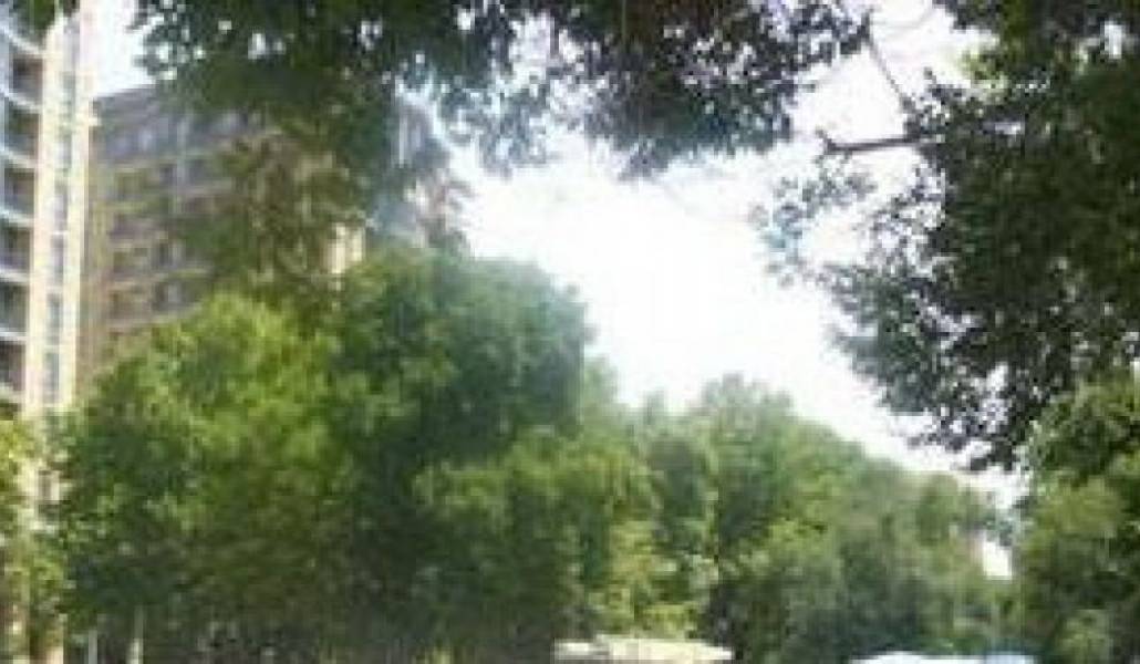 25e876c1b709dd2cebdf82111e44e195