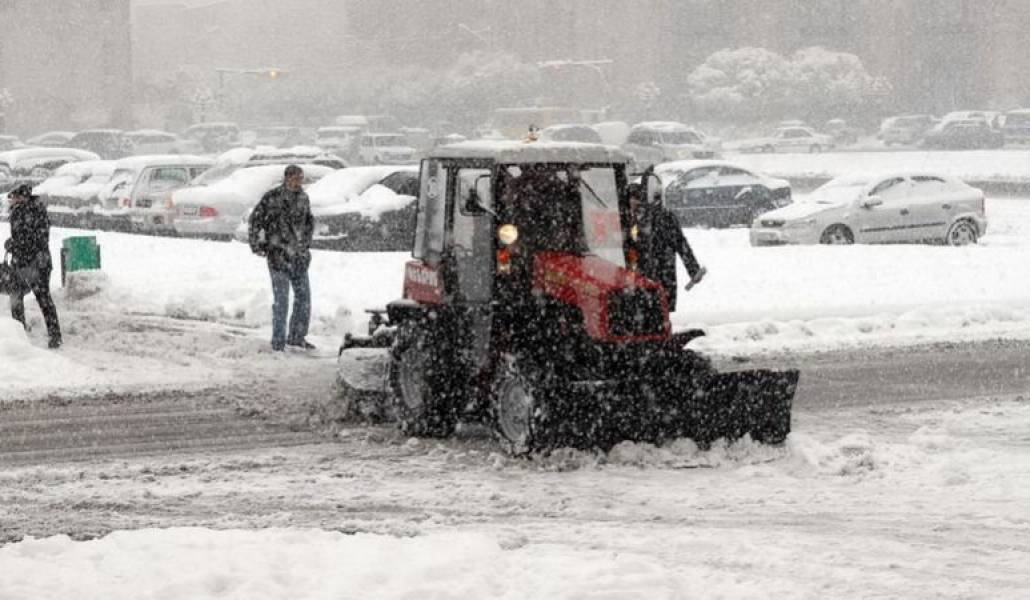 f5102f7a48d4bfe514a7f64fd42f6102