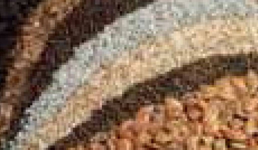 72e1f5da7459f52df1d20fc5d06055d0