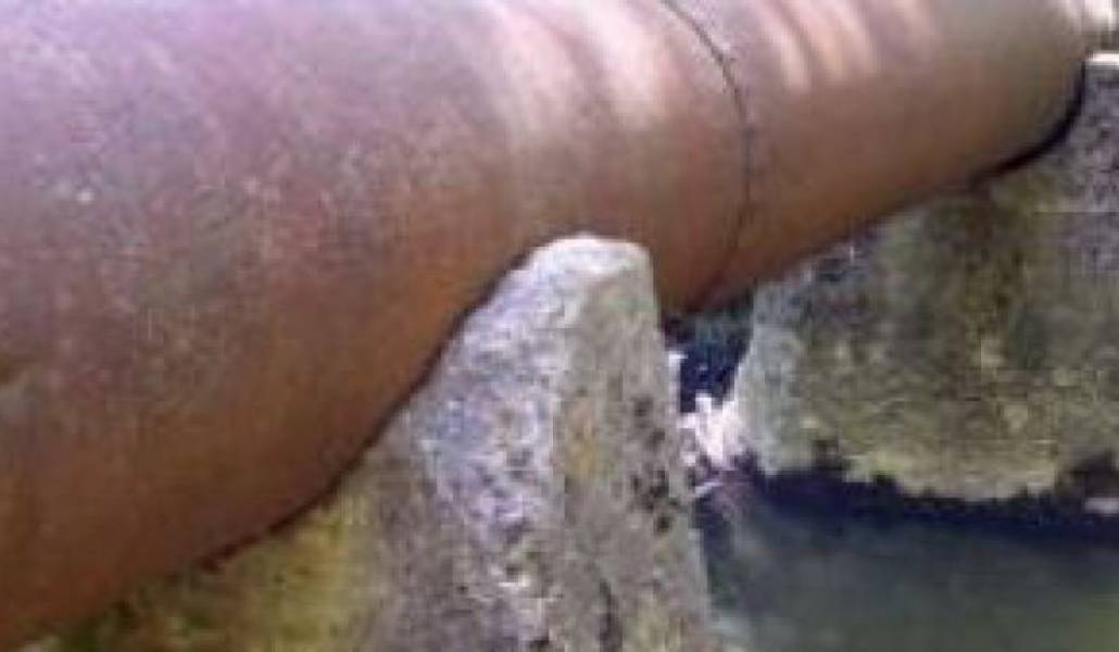 4926e5658d474e1051e95dcc7d02b989