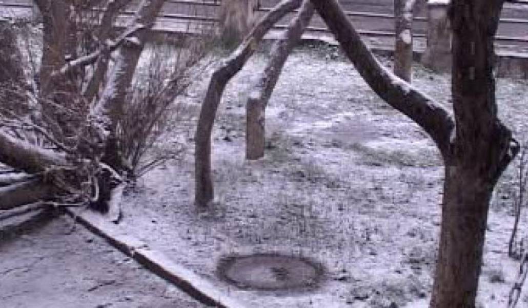 d9299c1fe30db0951091dd43e7a3cdfc