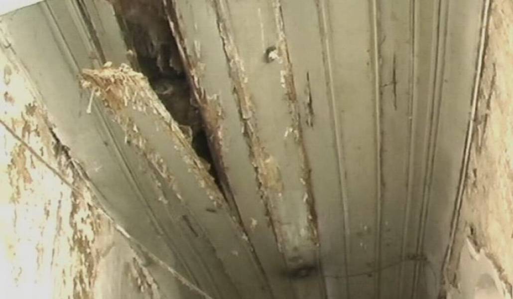 11a95185a101a508c408d27d0504de65