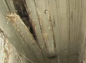 Жителей вывели через окно