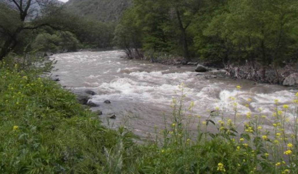 4041d2f8de96e483d9eddb2cefcc7681