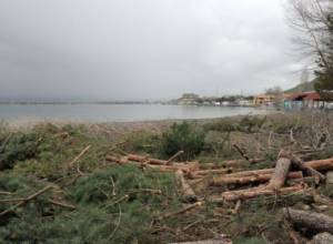 Несколько вопросов премьеру