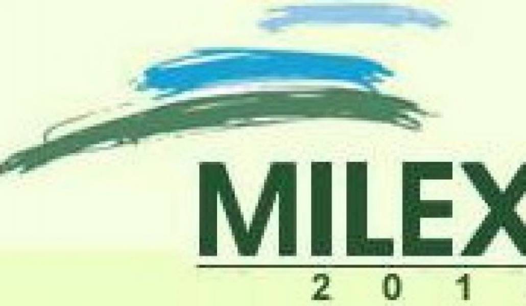 d366e7f086983cda5ebc51d16b36d181