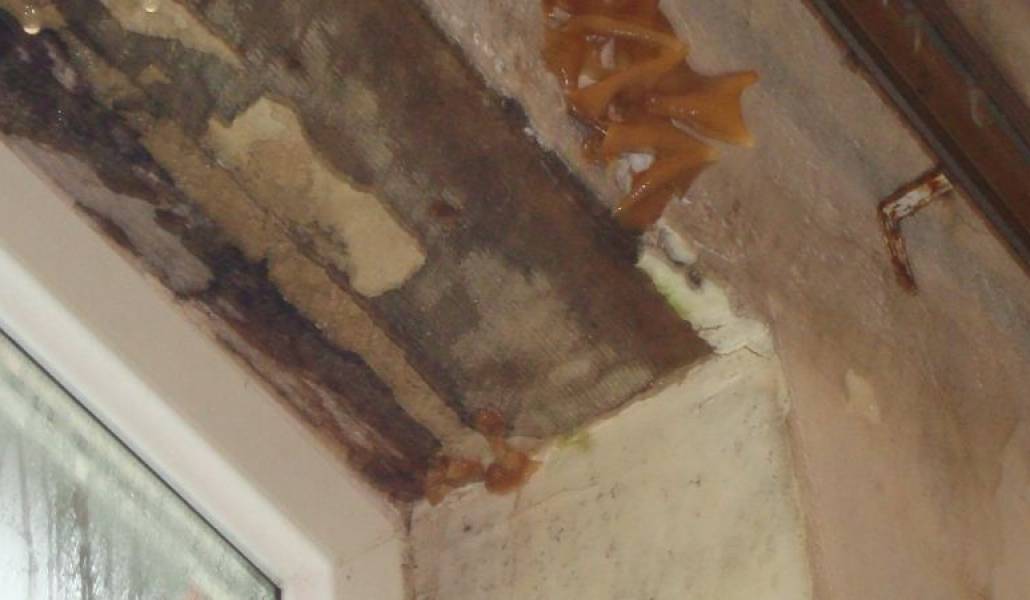 488adddfbbe988181da2c31d2fc2688e