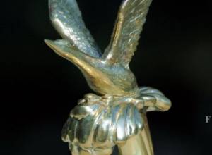 Воспитанники «Детей солнца» признаны победителями