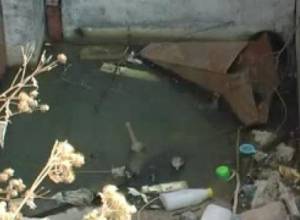 Дети страдают от кишечных инфекций