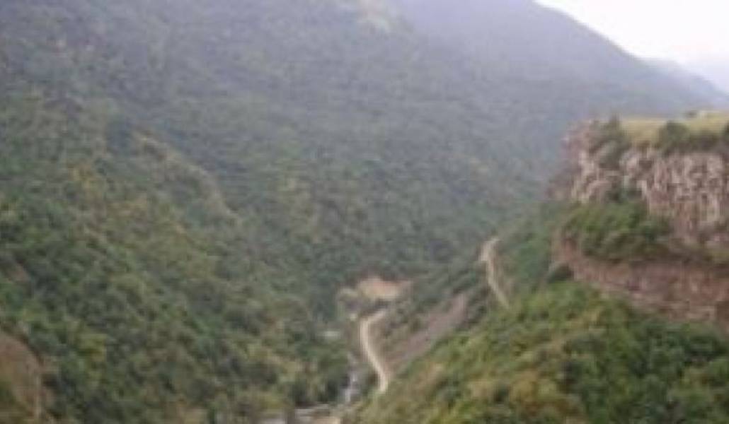 db94ee0c634fe61237c7fc291c70603f